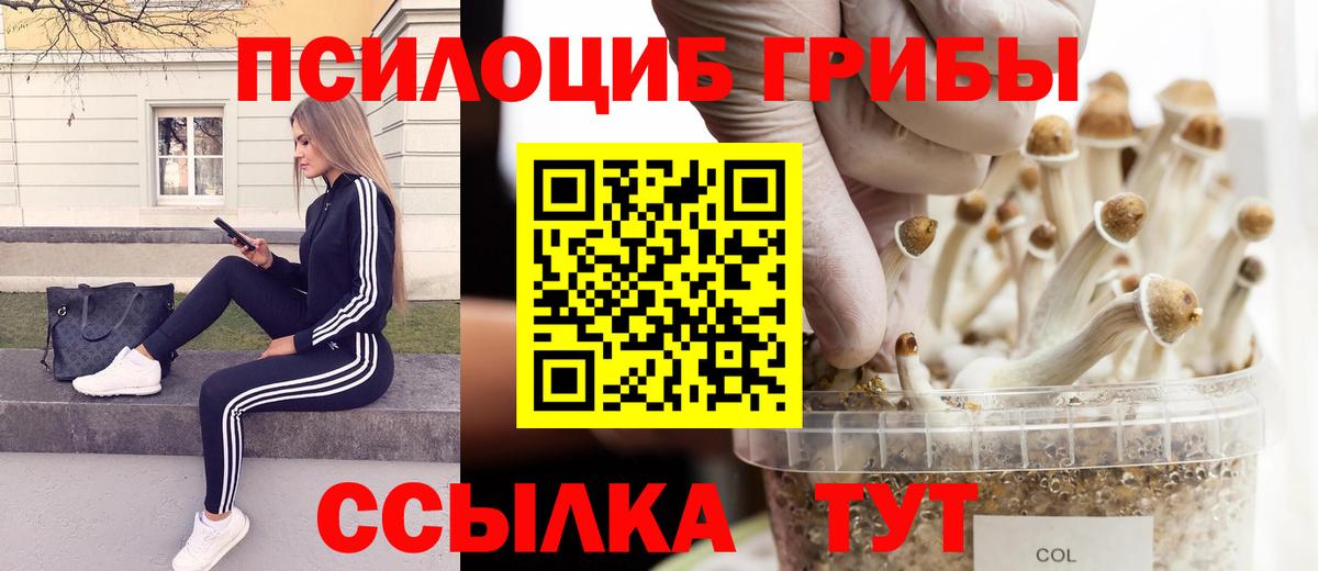 что такое   Псилоцибиновые грибы мухоморы  Вход с VPN  Галлюциногенные грибы Psilocybe  Черняховск 